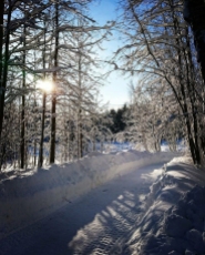 Vinterbild_Marisa